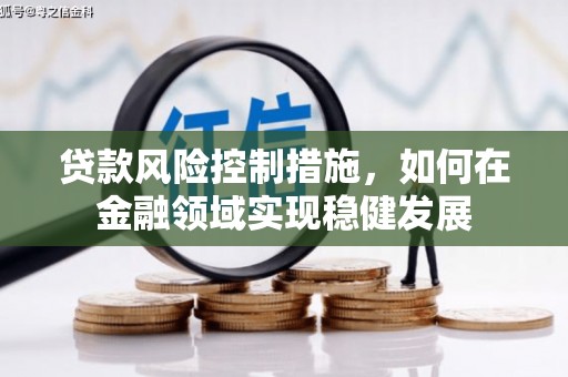 林园贷款风险控制措施，如何在金融领域实现稳健发展