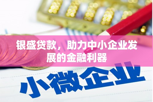 林园银盛贷款，助力中小企业发展的金融利器