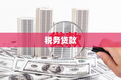 林园税务贷款