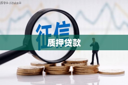 林园质押贷款