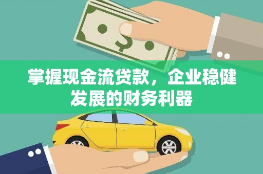 林园掌握现金流贷款，企业稳健发展的财务利器