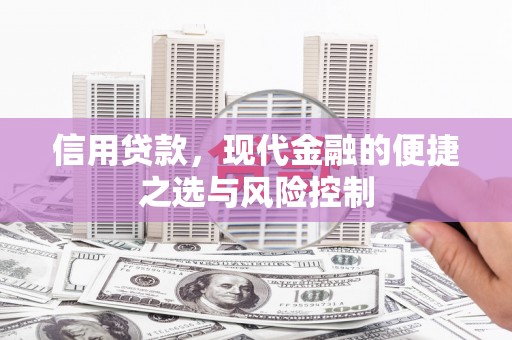 林园信用贷款，现代金融的便捷之选与风险控制
