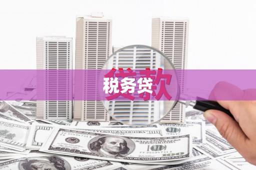 林园税务贷