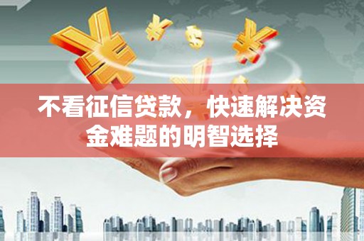 林园不看征信贷款，快速解决资金难题的明智选择
