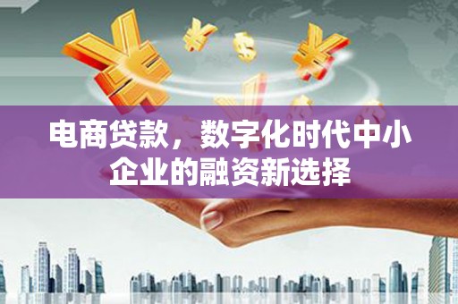 林园电商贷款，数字化时代中小企业的融资新选择