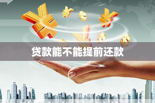 林园贷款能不能提前还款