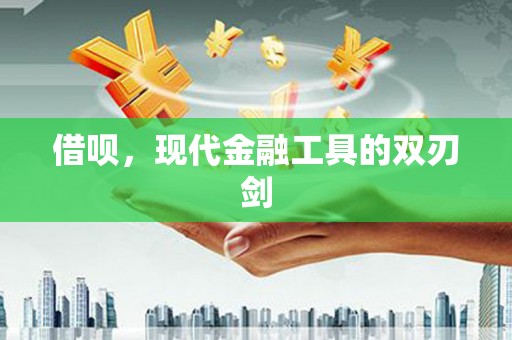 林园借呗，现代金融工具的双刃剑