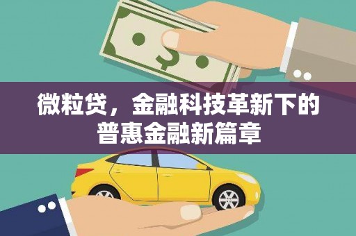 林园微粒贷，金融科技革新下的普惠金融新篇章