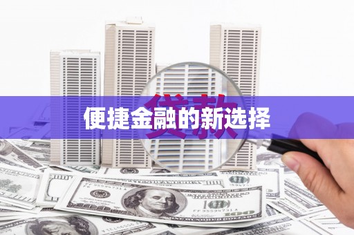 林园便捷金融的新选择