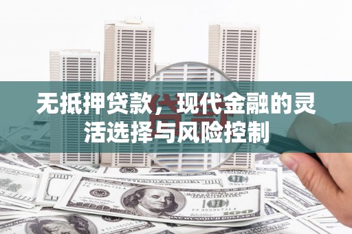 林园无抵押贷款，现代金融的灵活选择与风险控制