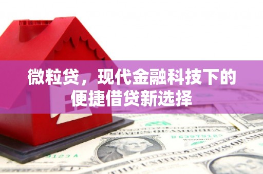 林园微粒贷，现代金融科技下的便捷借贷新选择
