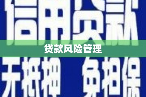 林园贷款风险管理