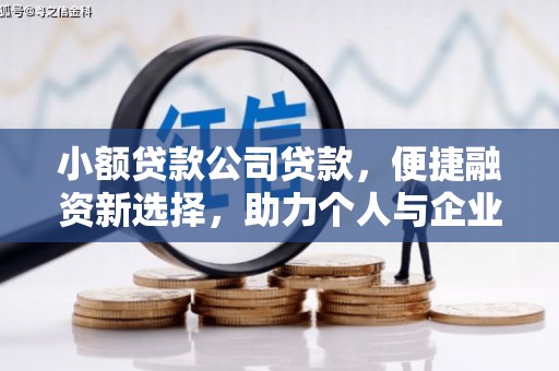林园小额贷款公司贷款，便捷融资新选择，助力个人与企业成长