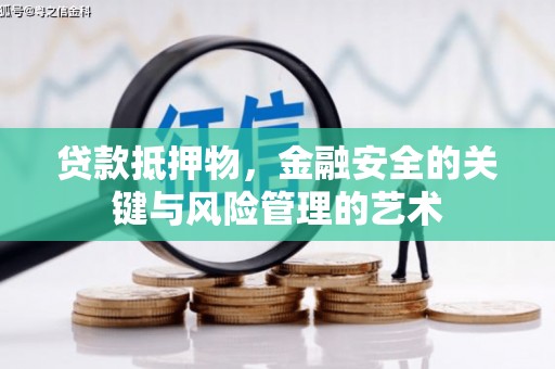 林园贷款抵押物，金融安全的关键与风险管理的艺术