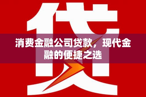 林园消费金融公司贷款，现代金融的便捷之选