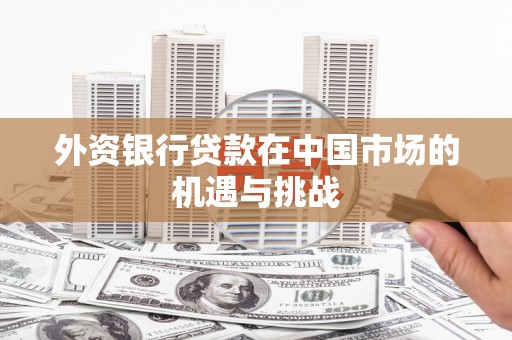 林园外资银行贷款在中国市场的机遇与挑战