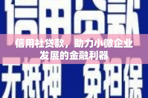 林园信用社贷款，助力小微企业发展的金融利器