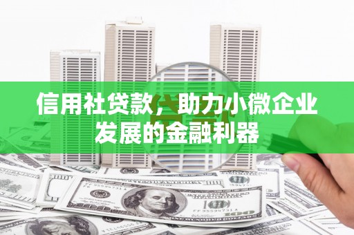 林园信用社贷款，助力小微企业发展的金融利器