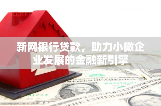 林园新网银行贷款，助力小微企业发展的金融新引擎