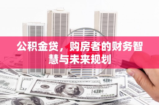 林园公积金贷，购房者的财务智慧与未来规划