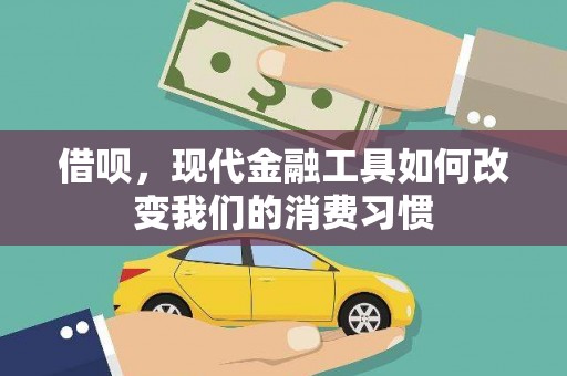 林园借呗，现代金融工具如何改变我们的消费习惯