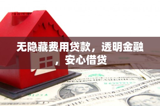 林园无隐藏费用贷款，透明金融，安心借贷