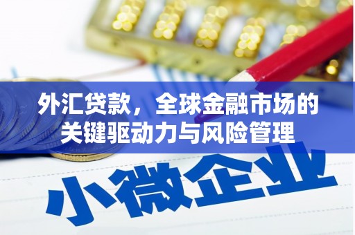 林园外汇贷款，全球金融市场的关键驱动力与风险管理