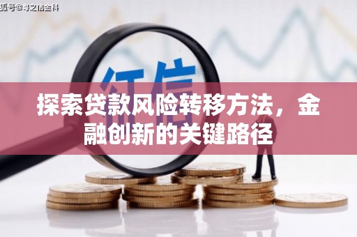 林园探索贷款风险转移方法，金融创新的关键路径