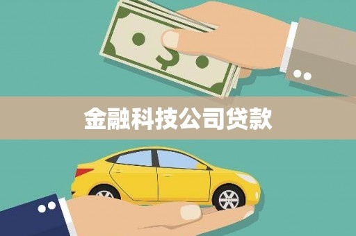 林园金融科技公司贷款