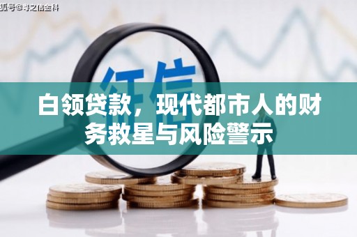 林园白领贷款，现代都市人的财务救星与风险警示
