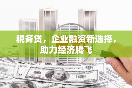 林园税务贷，企业融资新选择，助力经济腾飞
