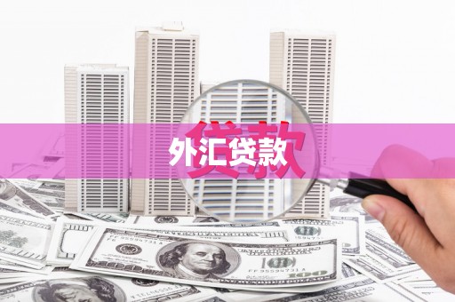 林园外汇贷款