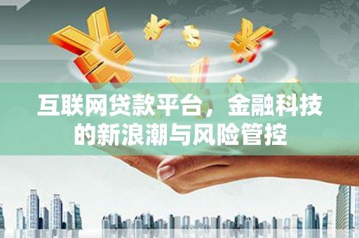 林园互联网贷款平台，金融科技的新浪潮与风险管控