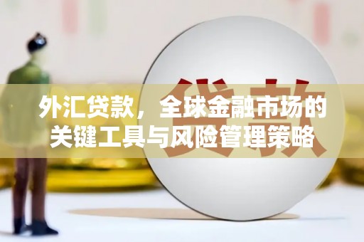 林园外汇贷款，全球金融市场的关键工具与风险管理策略