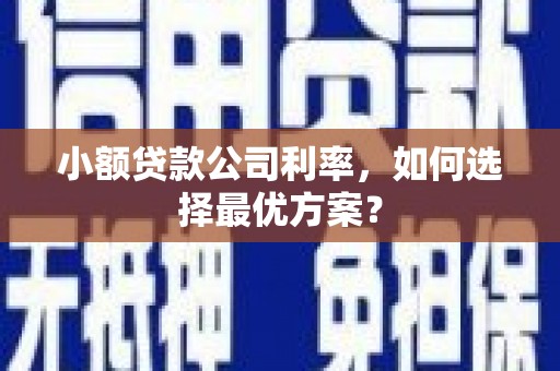 林园小额贷款公司利率，如何选择最优方案？