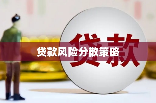 林园贷款风险分散策略