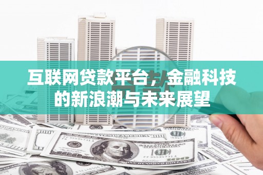 林园互联网贷款平台，金融科技的新浪潮与未来展望