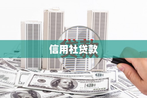 林园信用社贷款