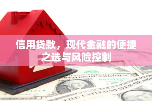 林园信用贷款，现代金融的便捷之选与风险控制