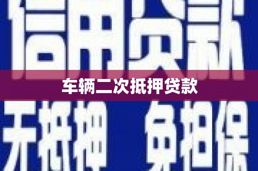 林园车辆二次抵押贷款