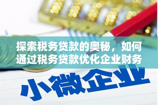 林园探索税务贷款的奥秘，如何通过税务贷款优化企业财务