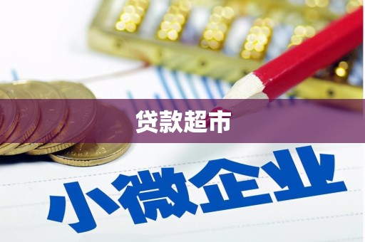 林园贷款超市