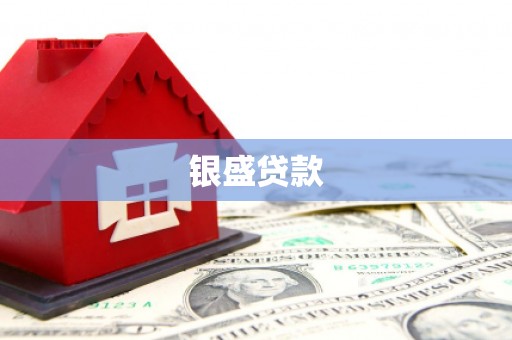 林园银盛贷款