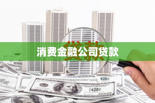 林园消费金融公司贷款
