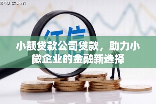 林园小额贷款公司贷款，助力小微企业的金融新选择