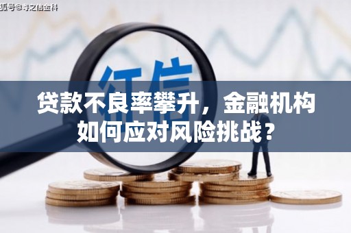 林园贷款不良率攀升，金融机构如何应对风险挑战？