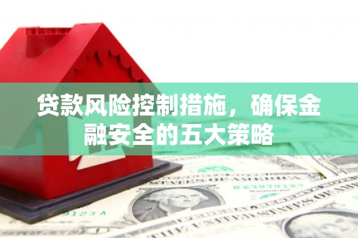 林园贷款风险控制措施，确保金融安全的五大策略