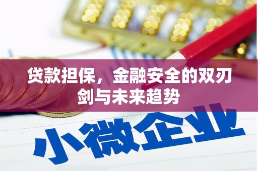林园贷款担保，金融安全的双刃剑与未来趋势