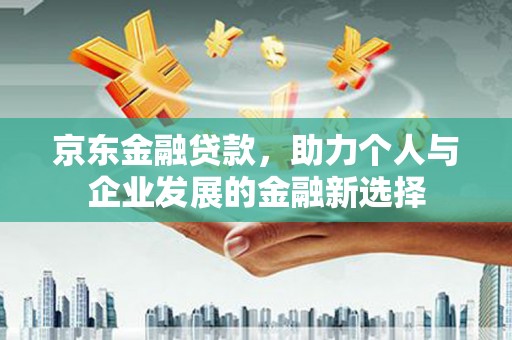 林园京东金融贷款，助力个人与企业发展的金融新选择