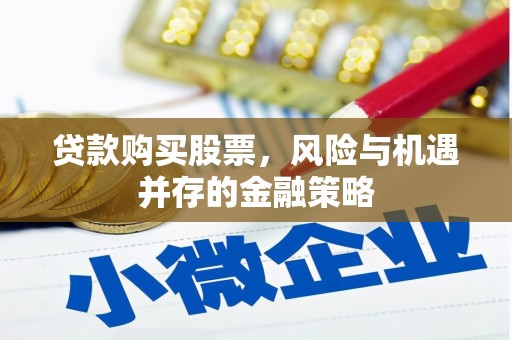林园贷款购买股票，风险与机遇并存的金融策略